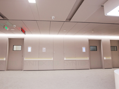 醫用鋼制復合墻板(烤漆/木紋膜)